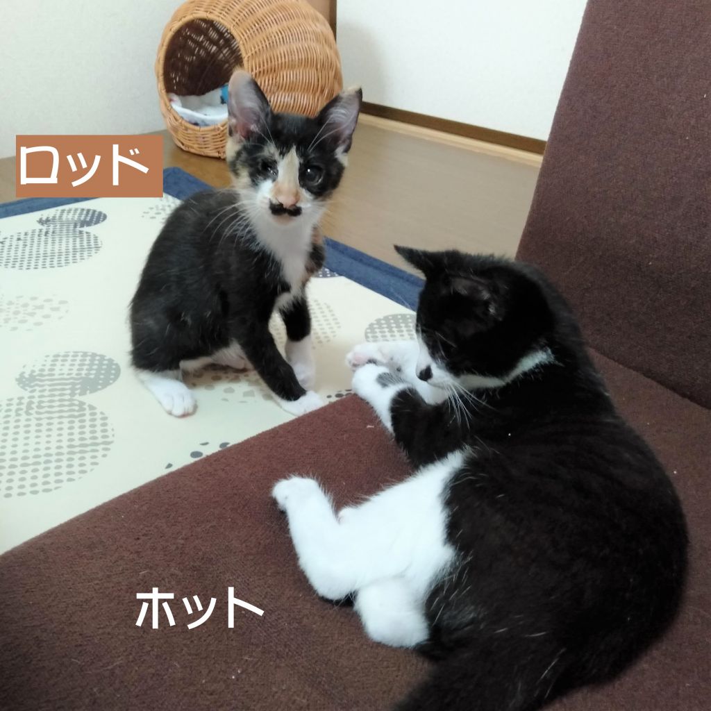 image-8
