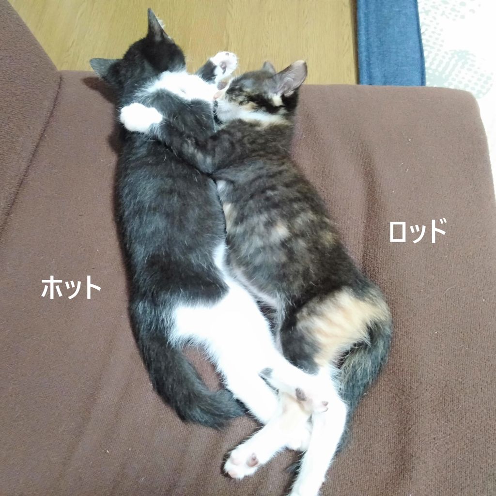 image-8