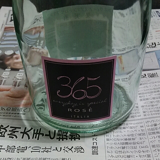 365 Everyday Is Special Rose