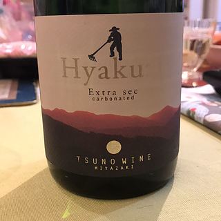 Tsuno Wine Hyakuzi Extra Sec