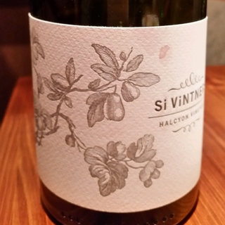 Si Vintners Halcyon Vineyard Pinot Noir