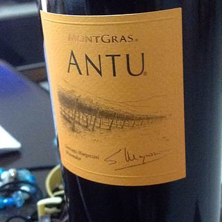 Montgras Antu Cabernet Sauvignon Carmenére