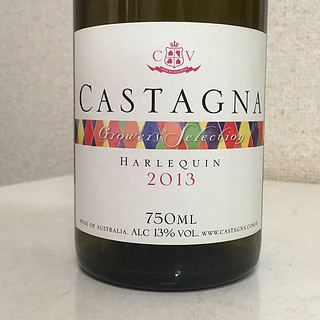 Castagna Growers' Selection Harlequin(カスターニャ グロワーズ・セレクション ハーレクイン)