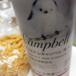北海道ワイン プレミアム キャンベル 赤