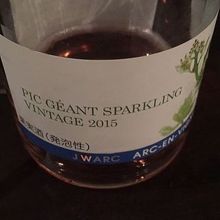 Arc En Vigne Pic Géant Sparkling