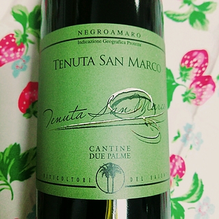 Cantina Due Palme Salento Negro Amaro Tenuta San Marco