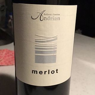 Andrian Merlot