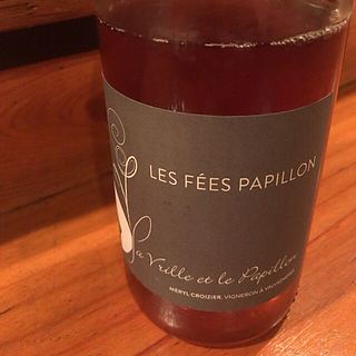 La Vrille et le Papillon Les Fees Papillon
