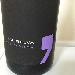 Ca' Selva Sauvignon(カ・セルヴァ ソーヴィニヨン)