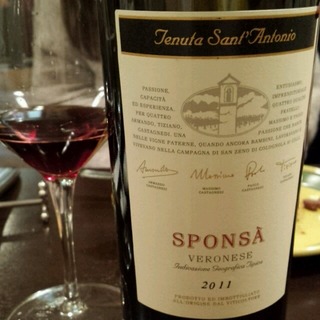 Tenuta Sant'Antonio Sponsa(テヌータ・サン・アントニオ スポンサ)