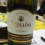 Szöllősi Magnus(2011)