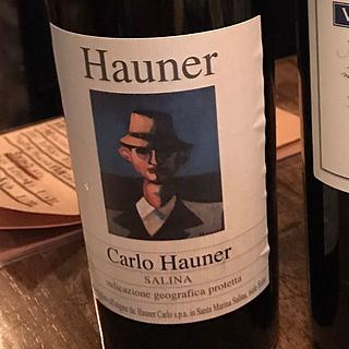 Hauner Carlo Hauner Salina