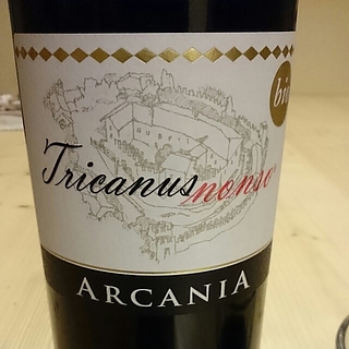 Arcania Tricanus Nonsò