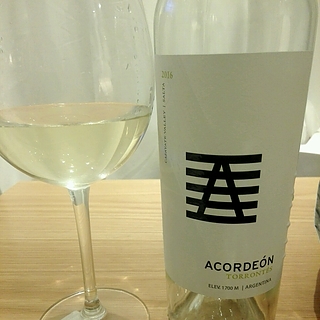 Acordeón Torrontes