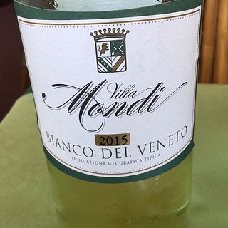 Villa Mondi Bianco del Veneto