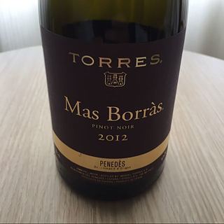 Torres Mas Borràs