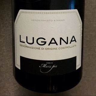 Terre di Maria Pia Lugana