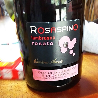 Rosaspino Lambrusco Rosato Secco