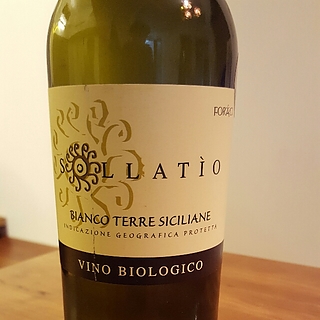 Foraci Sollatio Bianco Sicilia