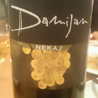 Damijan Nekaj