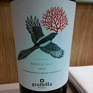Graffetta Grillo