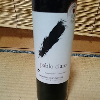 Dominio de Punctum Pablo Claro Tempranillo