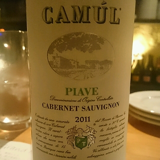 Tonon Camúl Cabernet Sauvignon
