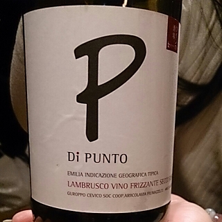 Di Punto Lambrusco Secco(ディ・プント ランブルスコ セッコ)
