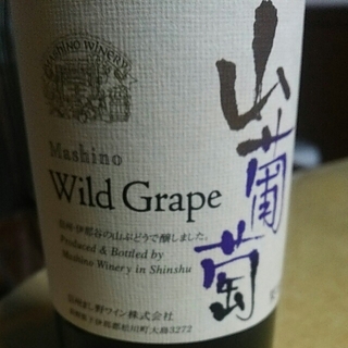 Mashino Wild Grape 山葡萄