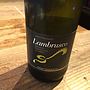 Lambrusco Amabile Don Giuseppe Bianco