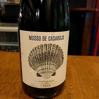 Musso de Casarojo