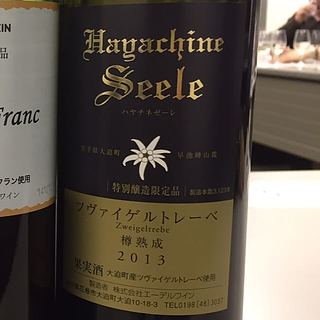エーデルワイン Hayachine Seele ハヤチネゼーレ ツヴァイゲルトレーべ 樽熟成