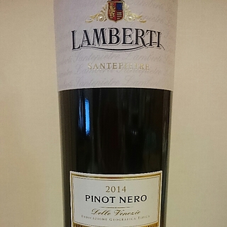 Lamberti Pinot Nero (Noir)