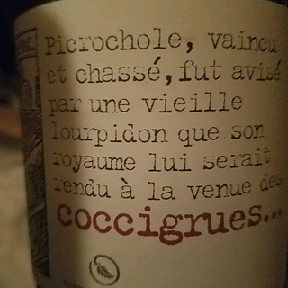 Yannick Pelletier Coccigrues(ヤニック・ペルティエ コクシグル)
