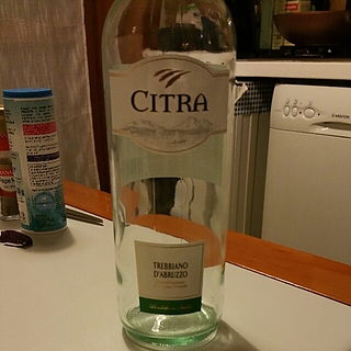Citra I Solchi Trebbiano d'Abruzzo