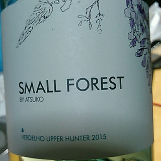 Small Forest Verdelho Upper Hunter