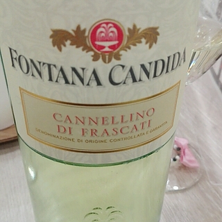 Fontana Candida Frascati Cannellino