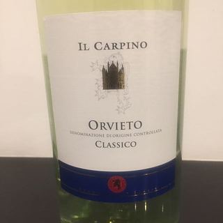 Il Carpino Orvieto Classico(イル・カルピノ オルヴィエート クラッシコ)
