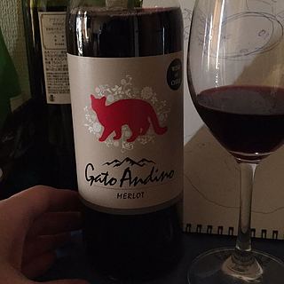 Gato Andino Merlot