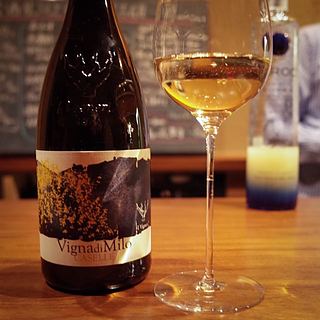 I Vigneri Vigna di Milo Caselle Etna Bianco Superiore