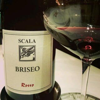 Scala Briseo Rosso