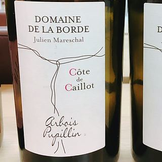 Dom. de la Borde Côte de Caillot
