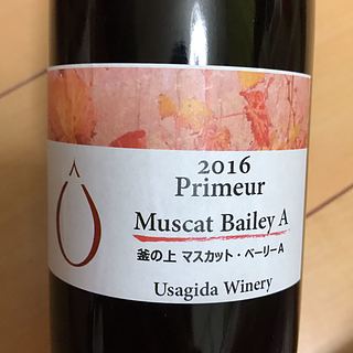 Usagida Winery 釜の上 マスカット・ベーリーA Primeur