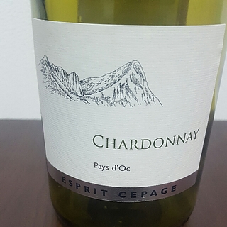 Esprit Cepage Chardonnay