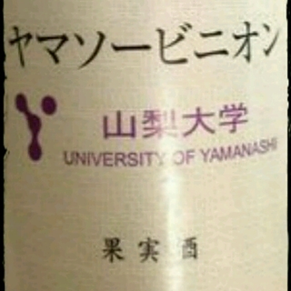 山梨大学 ヤマ・ソーヴィニヨン
