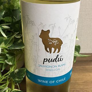 Pudu Sauvignon Blanc Semillon(プードゥ ソーヴィニヨン・ブラン セミヨン)