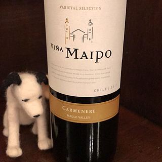 Viña Maipo Carmenere