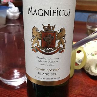 Magnificus Blanc(マニフィキュス ブラン)