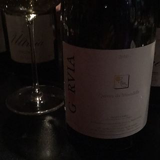 Quinta da Muradella Gorvia Blanco(キンタ・ダ・ムラデッラ ゴルビア・ブランコ)