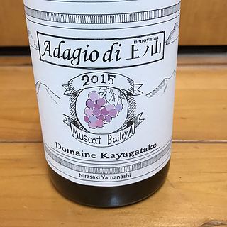 Dom. Kayagatake Adagio di 上ノ山 Muscat Bailey A(ドメーヌ・カヤガタケ アダージョ・ディ・ウエノヤマ マスカット・ベーリーA)